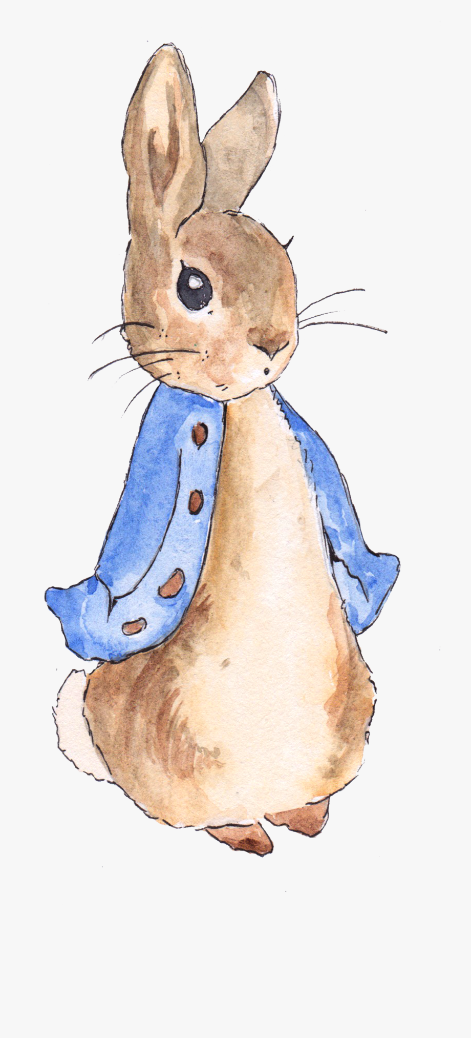 Peter Rabbit