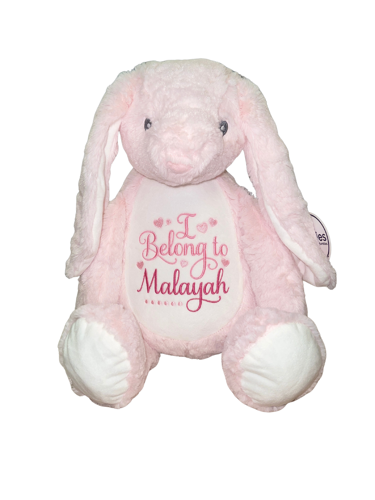 Pink Rabbit Memory bear